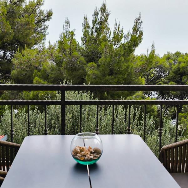 Kitchen, Apartments Silvana, APARTMENTS SILVANA Sveta Nedjelja, Otok Hvar