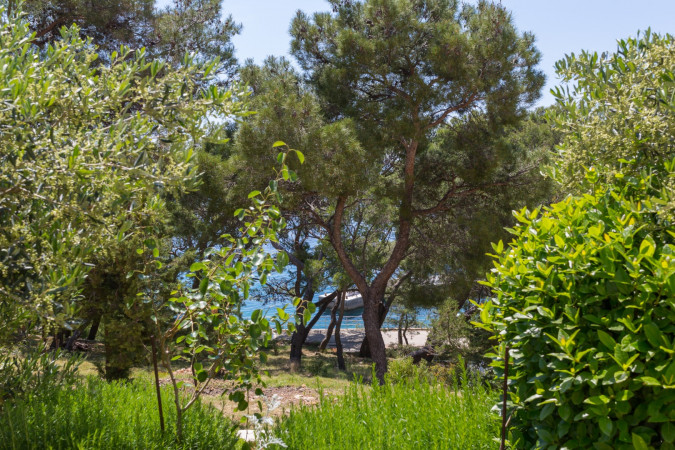 GREEN APARTMENT, APARTMENTS SILVANA Sveta Nedjelja, Otok Hvar