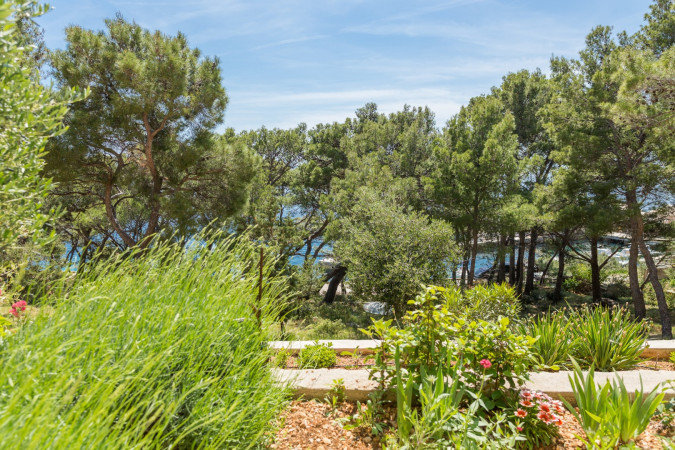 ORANGE APARTMENT, APARTMENTS SILVANA Sveta Nedjelja, Otok Hvar