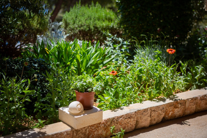 GREEN APARTMENT, APARTMENTS SILVANA Sveta Nedjelja, Otok Hvar